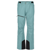 Ultimate Dryo 10 Pants - Skibukser - Herrer