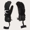 Timberline Glove - Skihandschuhe