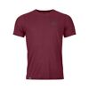 120 Cool Tec Mountain Stripe TS - Merinoshirt - Herren