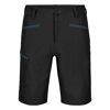 Pelmo Shorts - Pantalones cortos de trekking - Hombre