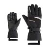 Galerius-Z Gtx - Gants ski homme