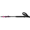 Backcountry GT W - Walking poles