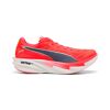 Deviate Nitro Elite 4 - Running shoes - Men's