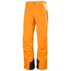 Legendary Insulated Pant - Calça ski homem