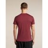 Merino 125 Cool-Lite Sphere III SS Tee - Merino shirt - Men's