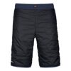 Swisswool Piz Boè Shorts - Shorts - Men's