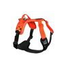 Ramble Harness - Dog harness