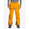 Forever Stretch Gore-Tex Pant - Ski trousers - Men's
