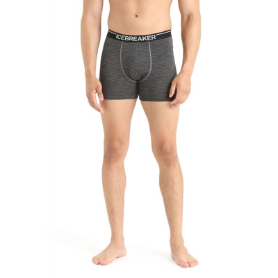 icebreaker - Anatomica Boxers - Unterwäsche - Herren