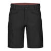 Pelmo Shorts - Dámské turistické kalhoty