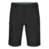 Pelmo Shorts - Vandreshort - Herrer