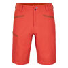 Pelmo Shorts - Pantaloncini da trekking - Uomo