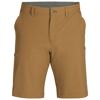 Ferrosi Shorts - 10" Inseam - Spodenki trekkingowe męskie