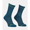 Alpine Pro Comp Mid Socks - Merino socks - Men's