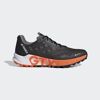 Terrex Agravic Flow 2 GTX - Trail running shoes - Men's