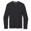 Merino 250 Baselayer Crew Boxed - Maillot homme