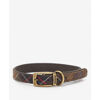 Tartan Dog Collar - Coleira para cachorro