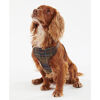Travel And Exercise Dog Harness - Postroj pro psa
