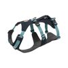 Flagline - Dog harness