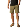 Silver Ridge Utility Cargo Short - Pánské turistické kraťasy