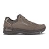 Renegade Evo GTX Lo - Wanderschuhe - Herren