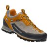 Dragontail Mnt GTX - Chaussures approche
