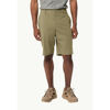 Desert Shorts - Walking shorts - Men's