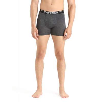 icebreaker - Anatomica Boxers - Underwear - Men's