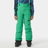 Jr Legendary Pant - Ski trousers - Kid's