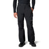 Platinum Peak II 3L Pant - Hardshell trousers - Men's