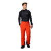 Cirque Bowl Pant - Ski trousers - Men's