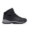 Newton Ridge Plus - Wanderschuhe - Damen
