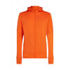 260 Quantum IV LS Zip Hoodie - Merino Fleece jacket - Men's