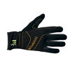 Alagna Glove - Ski gloves