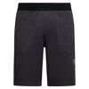 Flatanger Short - Klättershorts - Herr