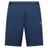 Trail Guard Shorts M - Wandershorts - Herren