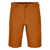 Pelmo Shorts - Pantaloncini da trekking - Uomo
