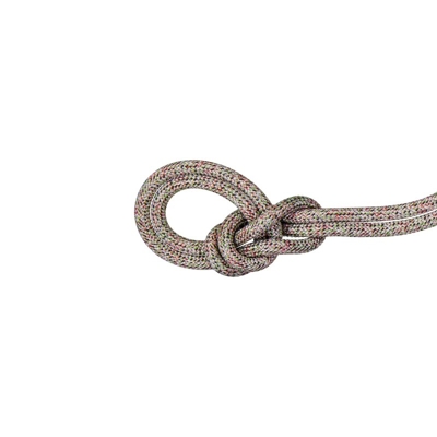 Mammut - 9.5 Crag We Care Classic - Einfachseil