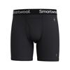 Merino Boxer Brief Boxed - Merino base layer - Men's
