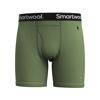 Merino Boxer Brief Boxed - Merino base layer - Men's
