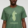 Llama T-Shirt - T-shirt - Men's