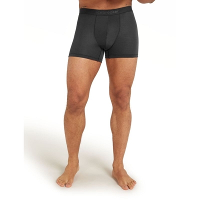 icebreaker - Anatomica Boxers - Underwear - Men's