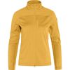 Abisko Lite Fleece Jacket - Fleecetröjor - Herr