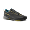 TX4 Evo GTX - Approachschuhe - Herren