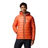 Arctic Crest Down Hooded Jacket - Doudoune homme