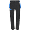 Trilogy Icon GTX Pro Pant - Pánské horolezecké kalhoty