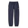 Fitz Roy Icon: New Navy