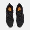 Timberland Field Trekker Low Warm Lined - Chaussures lifestyle homme | Hardloop