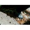 Garmont Akron Mid GTX - Scarpe da trekking - Uomo | Hardloop