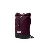 Aubergine / Blossom Pink / Cypress Green